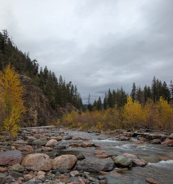 Rattlesnake Creek Restoration Memorial - Historic Dam Site, Missoula